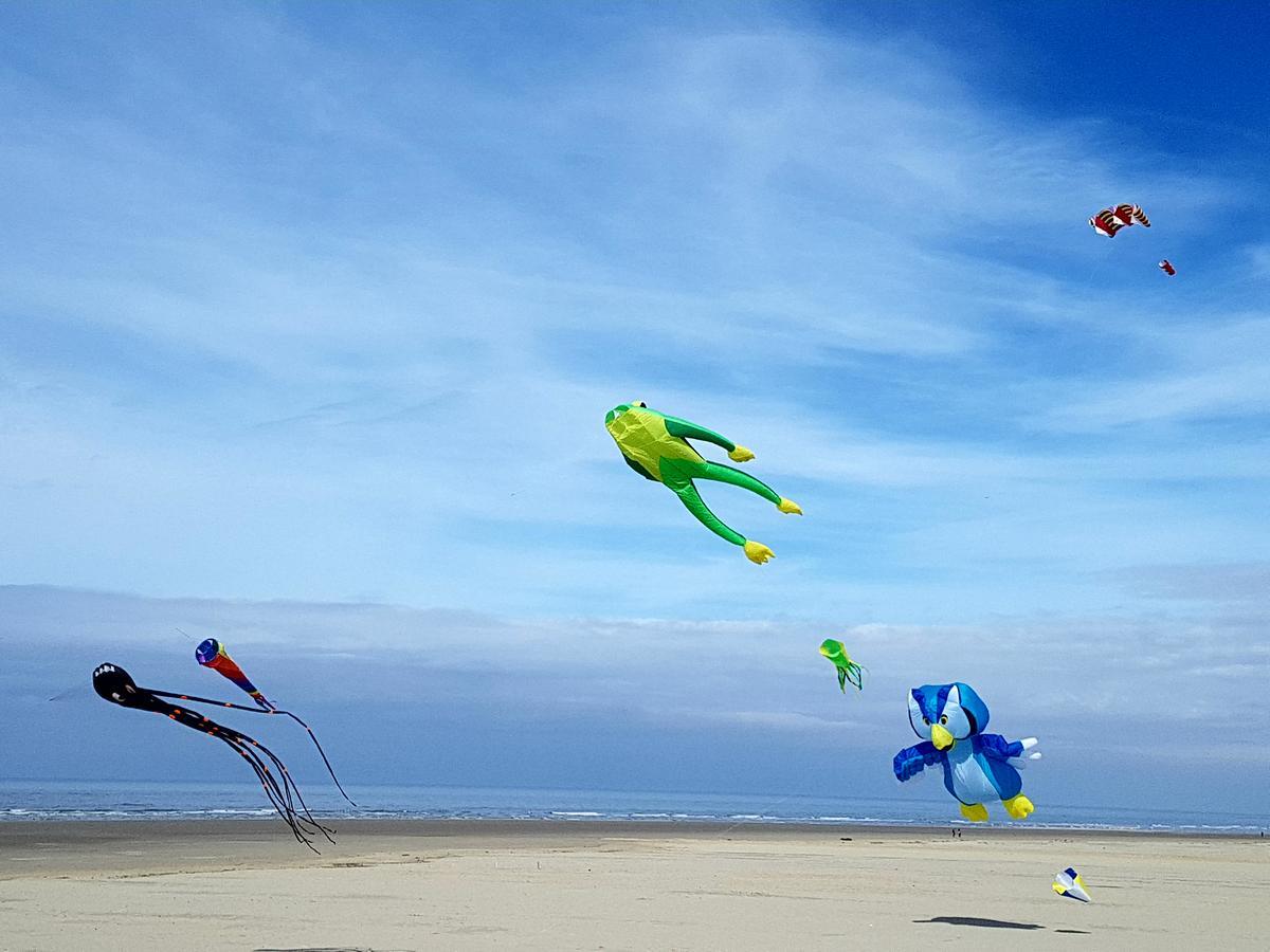 Les Coquillages, 2 Salles De Bains, Tout A Pied Berck Exterior photo