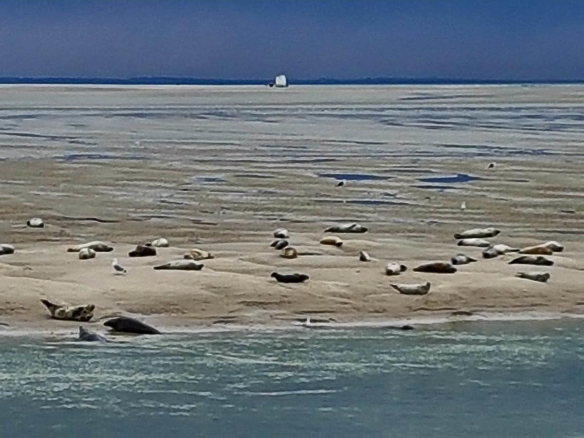 Les Coquillages, 2 Salles De Bains, Tout A Pied Berck Exterior photo